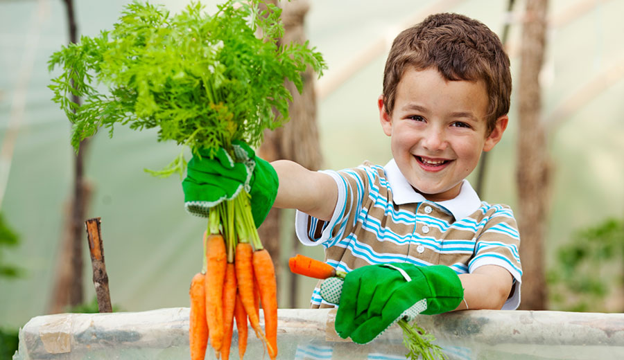 5 raisons de jardiner pour manger santé