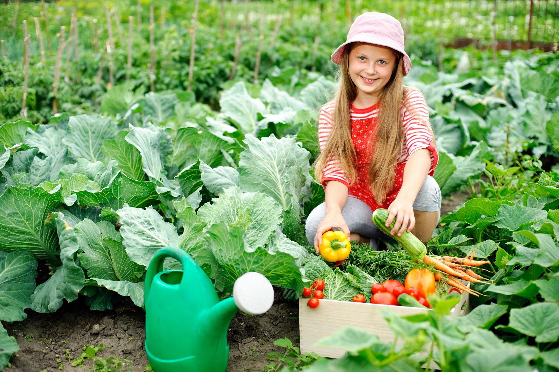 5 raisons de jardiner pour manger santé