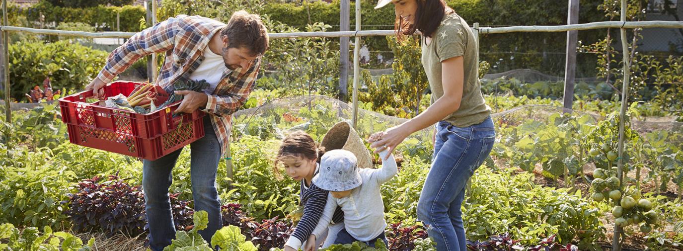 5 raisons de jardiner pour manger santé